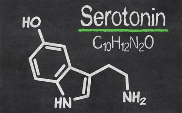 در خصوص هورمون مهم سروتونین و عوارض کمبودش چه می دانید؟