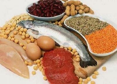 رژیم غذایی پُر پروتئین با کاهش چربی دورکمر همراه است